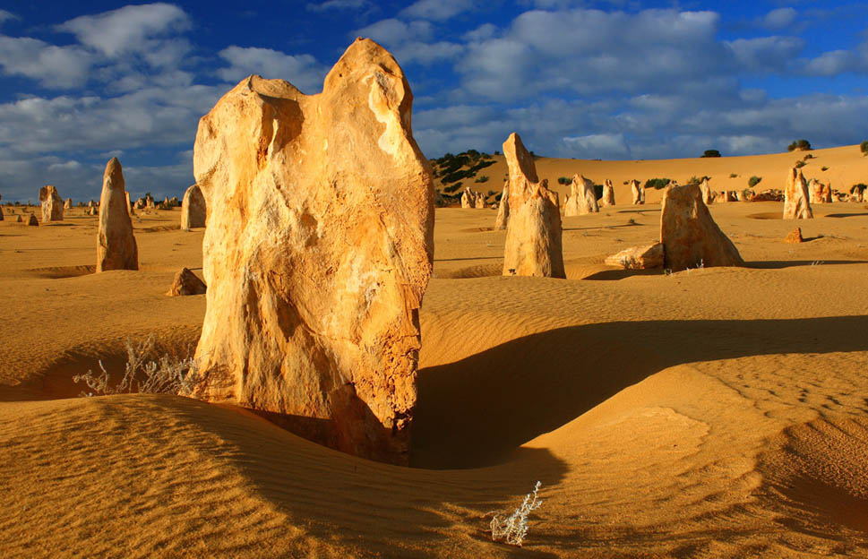 Pinnacles 1.jpg