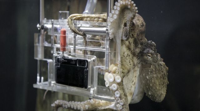 Octographer-and-camera.jpg