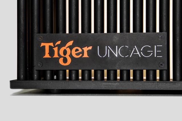 TigerLights_6.jpg