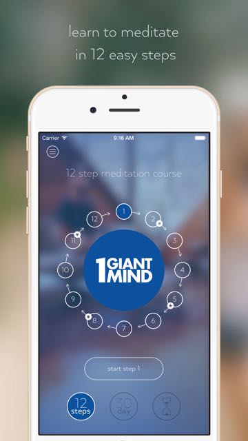 1gm-app-1 (1).jpg