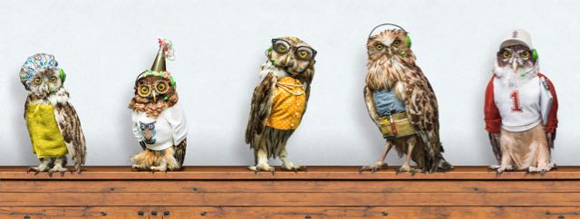 EnergyAustralia - Leo Burnett - Owls.jpg
