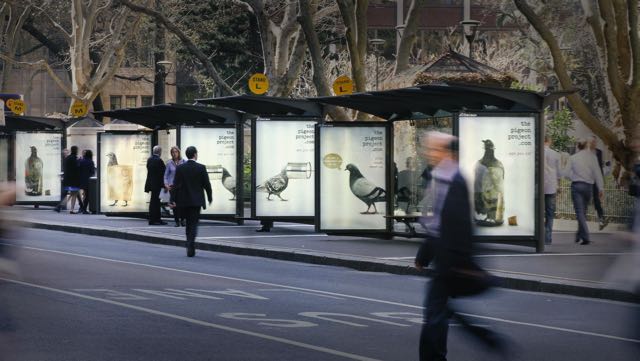JC-Decaux-Pigeon-Project-R-1.jpg