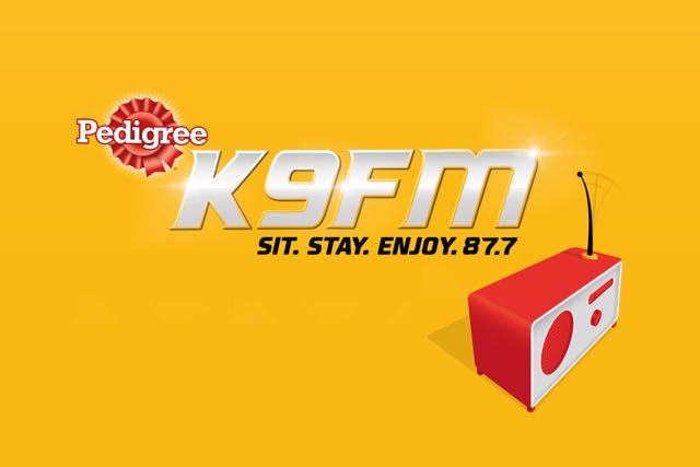K9FM 1 Lead Image.jpg