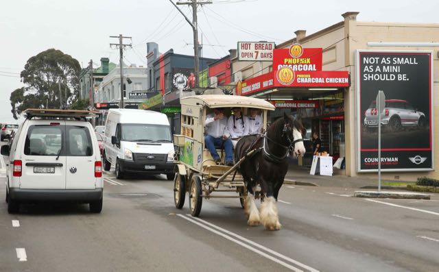 The Dairy Farmers milk cart trotting down the streets of Annandale.jpg