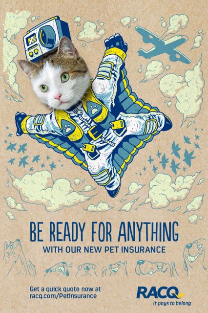 RACQ_Pet_Insurance -5.jpg