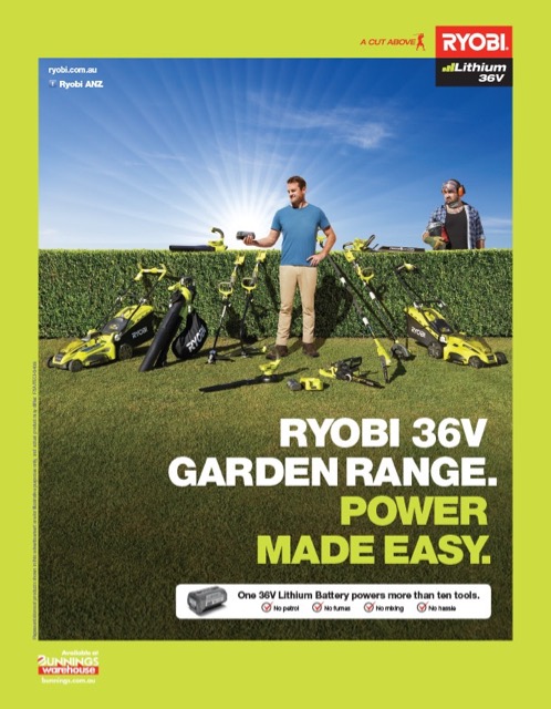 Ryobi_36V01.jpg