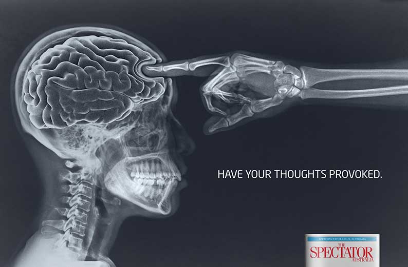 SPECTATOR-BRAIN.jpg