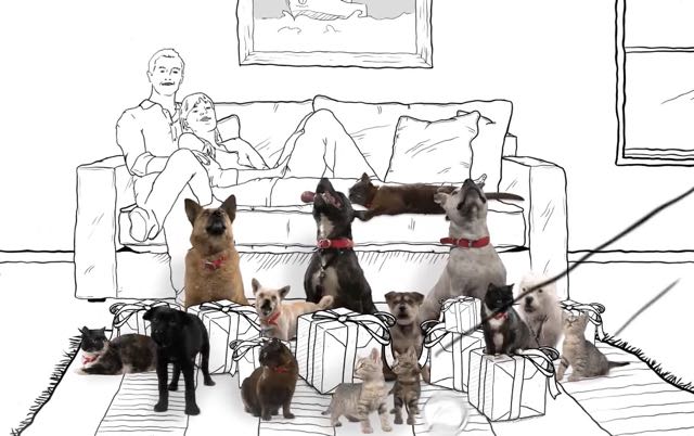 Purina TCO 12 Pets of Christmas.jpg