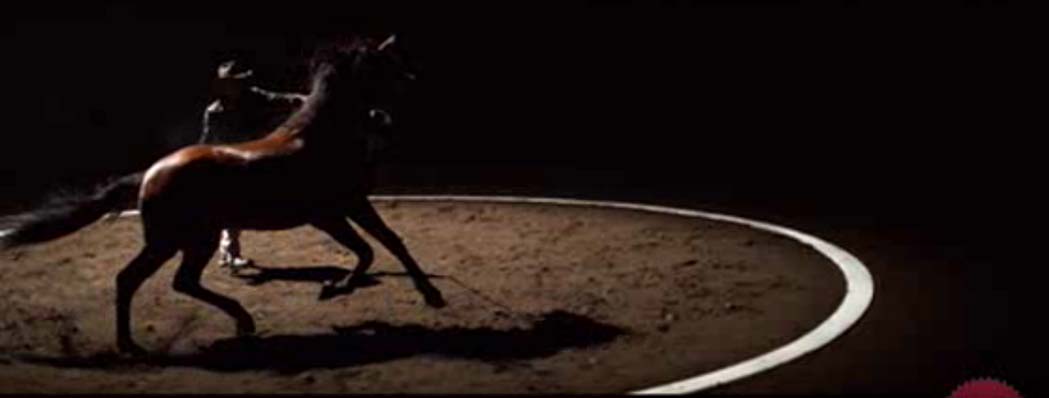 WILLIAMS-HORSE.jpg