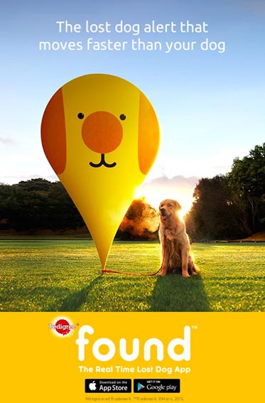 Pedegree 2 Found.jpg