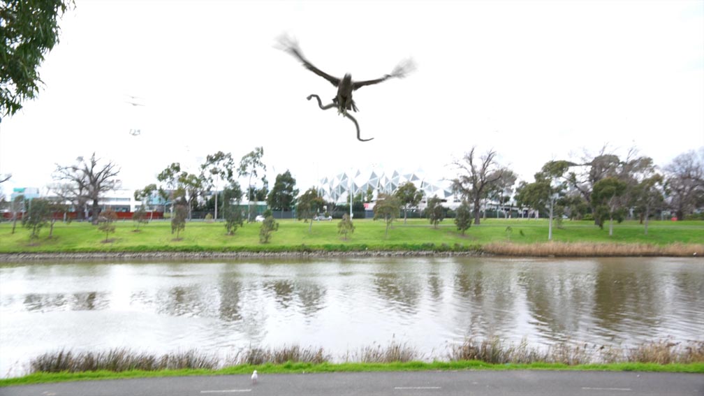 HAWK_Snake.jpg