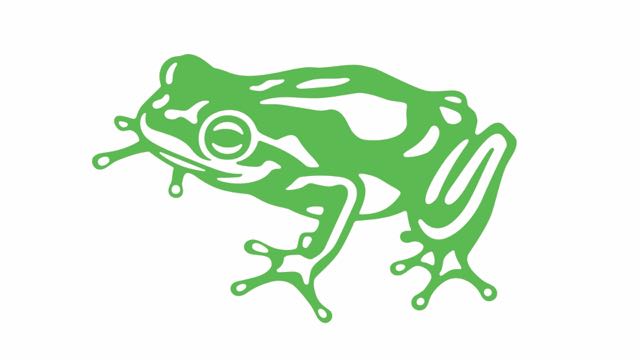frog_freidolin_CMYK (1).jpg