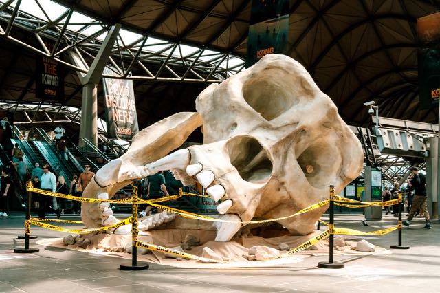 Kong Skull Island Skull 1 (1).jpg