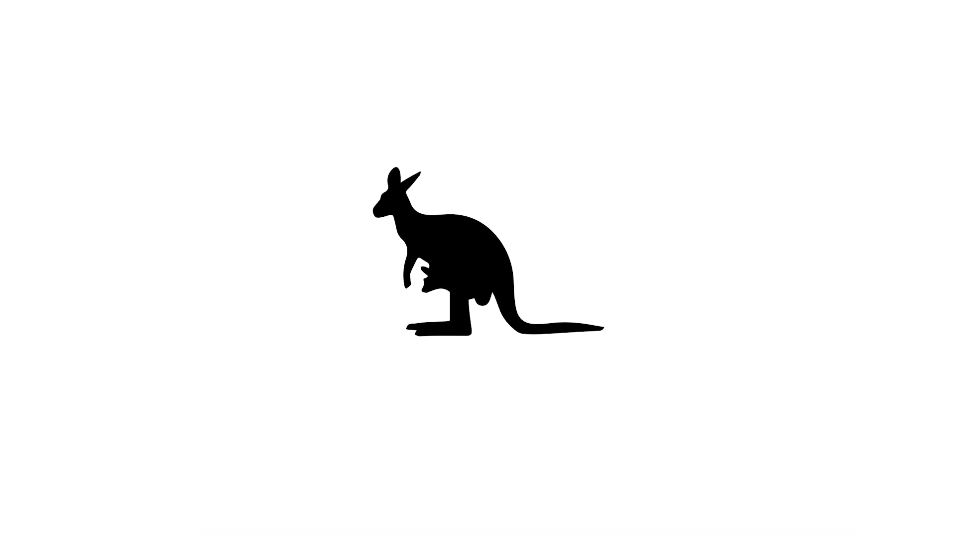 Wildlife Victoria image.jpg