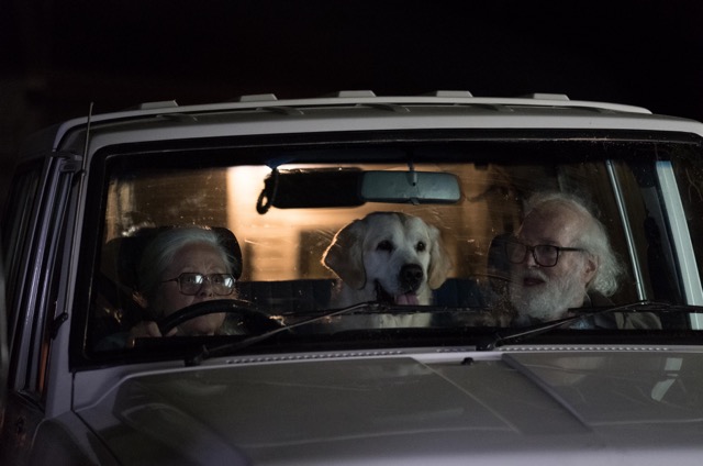 NRMA 2.jpg