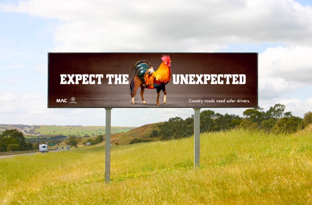REGIONAL_OUTDOOR_Cockhorse.jpg