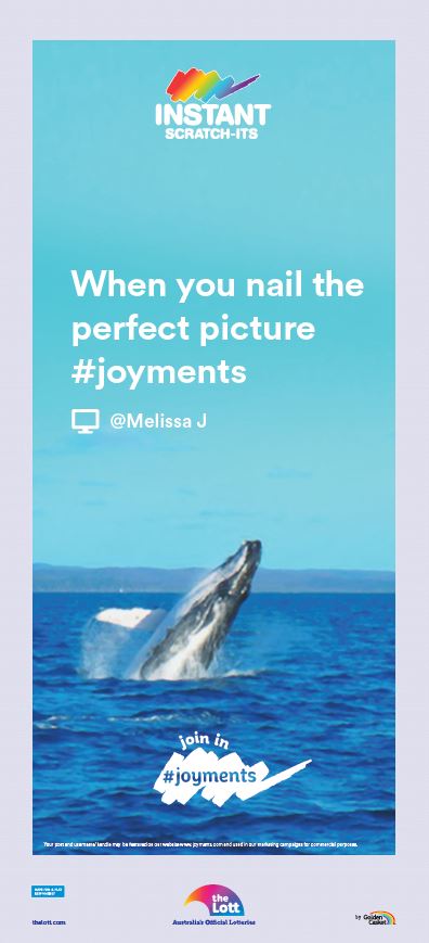 Whale.jpg