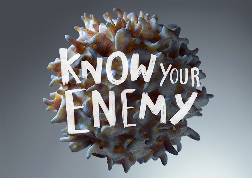 ACRF_Campaign Image (1).jpg