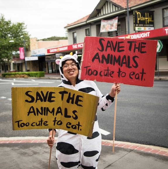 Screen Shot 2018-03-28 at 11.30.59 am.jpg