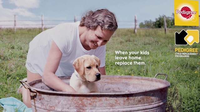 Child_Replacement_program (1).jpg