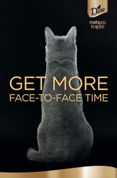 DINE Creamy Treats PR Hero1 (1).jpg