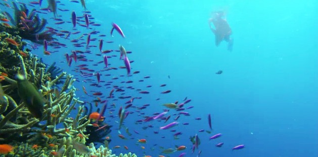 screen grab 6.jpg