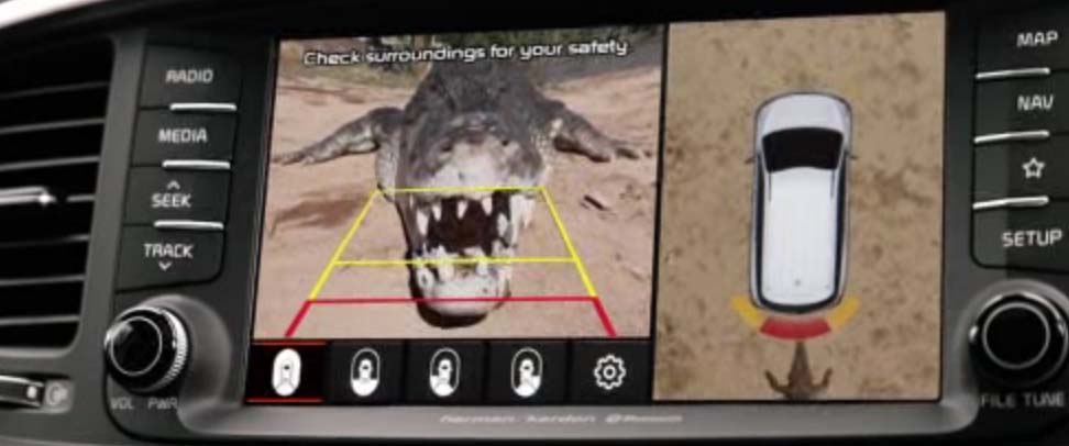 Sorento-croc.jpg
