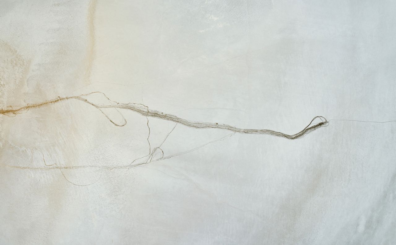 CF004262.jpg