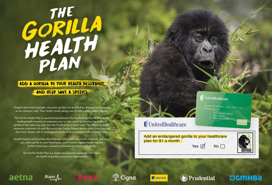 Gorilla Doctors1.jpg