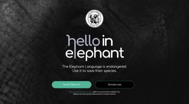 Hello in Elephant.jpg