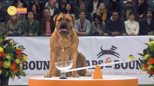 Leaps-and-Bounds_Petkind_Slobber.jpg