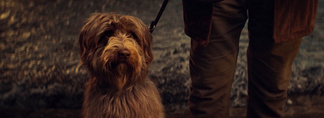 EFP1475_SOGD PR_Image_2_RET[3][2].jpg