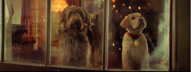 EFP1475_SOGD PR_Image_4_RET[3][2].jpg