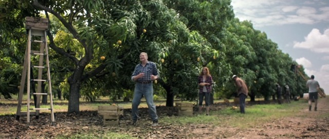 Screen Shot 2018-11-05 at 1.45.24 pm.jpg