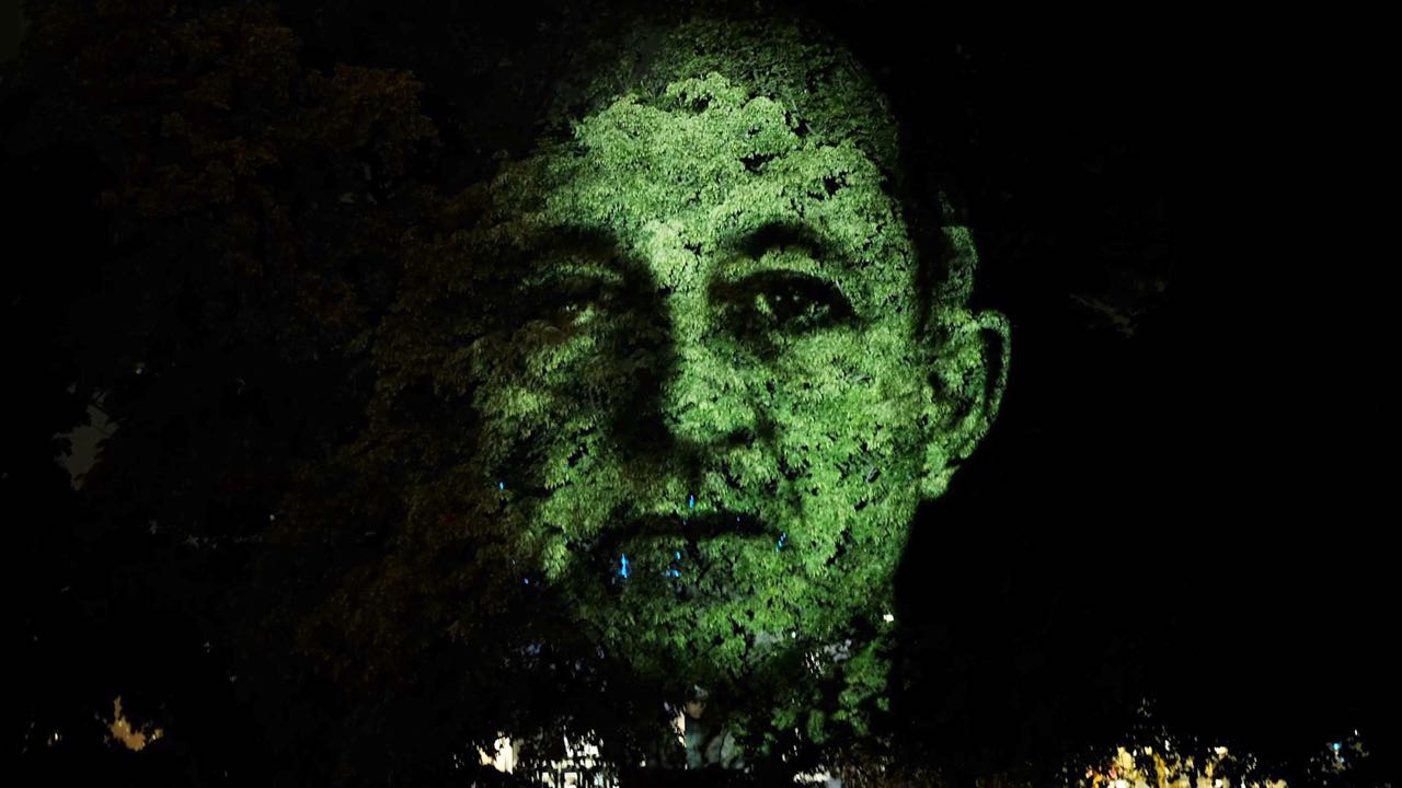 faces-trees5.jpg