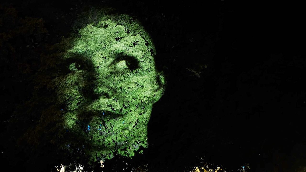tree-faces4.jpg