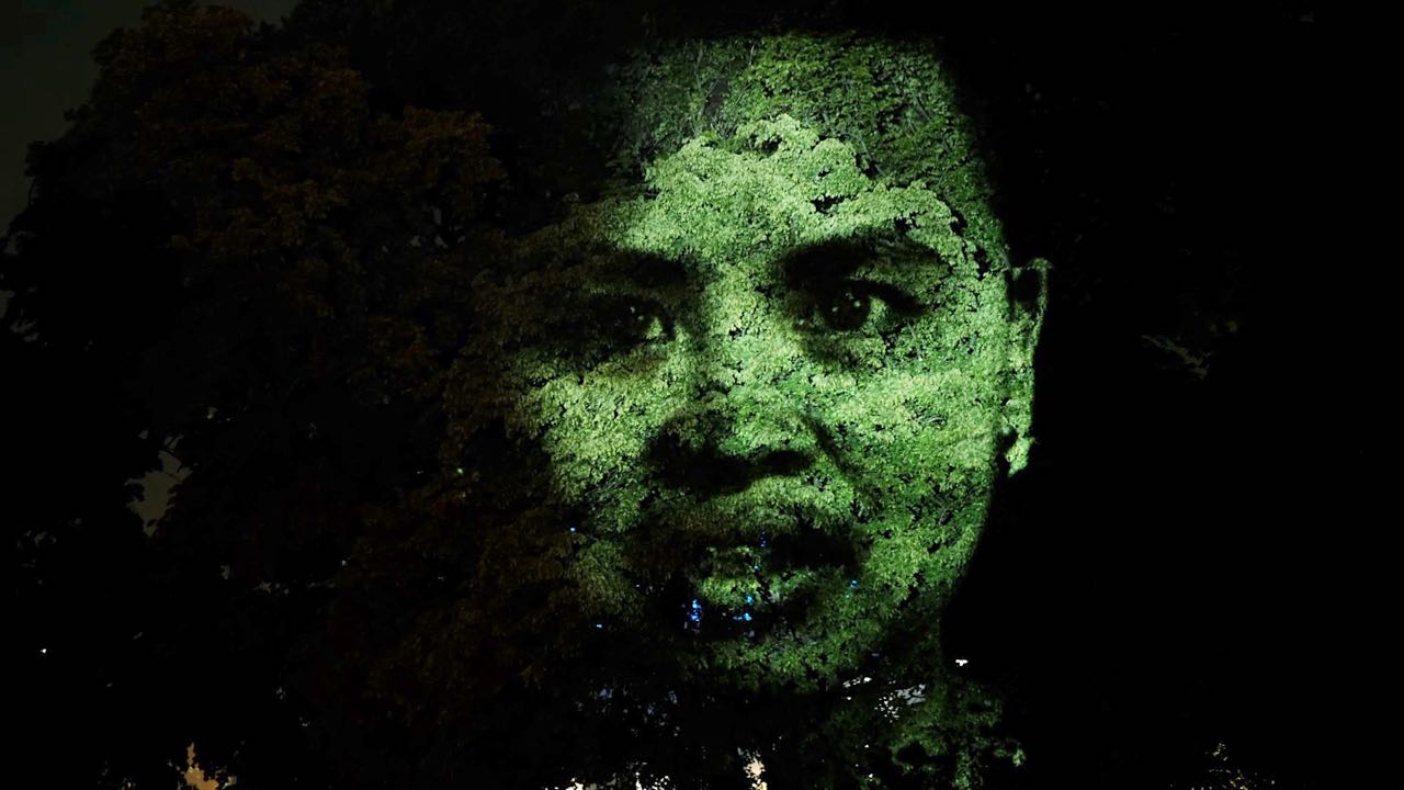 tree-faces5.jpg