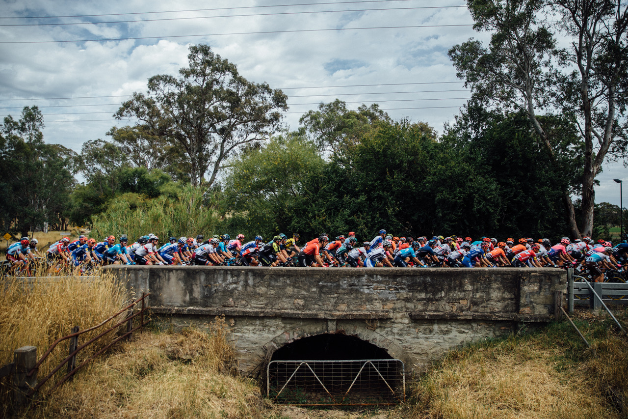 Santos Tour Down Under appoints Showpony as creative agency following a competitive pitch
