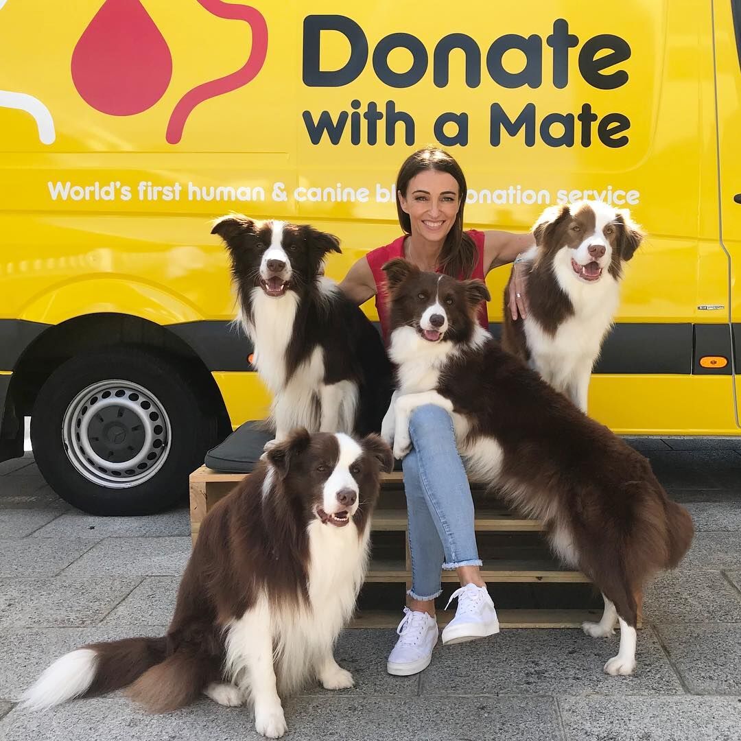 Pedigree launches ‘Donate with a Mate’ human and canine blood donation service via Clemenger