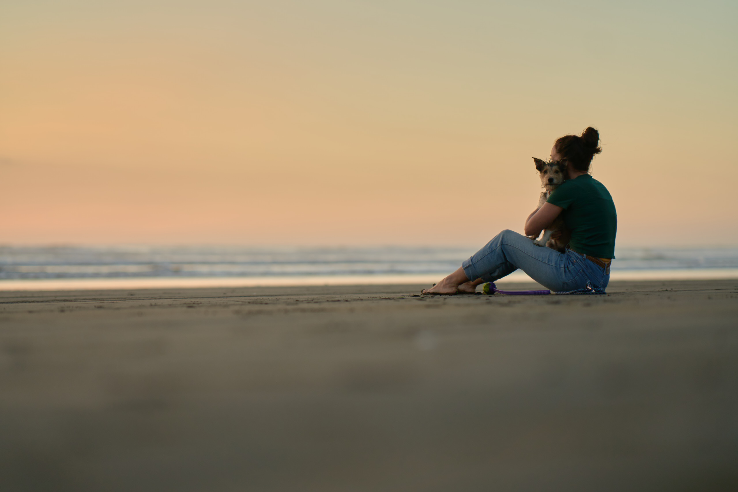 DDB LAUNCHES CAMPAIGN FOR NEW ZEALAND’S NEWEST CHARITY PET REFUGE; HITS FUNDING TARGET IN 7 DAYS