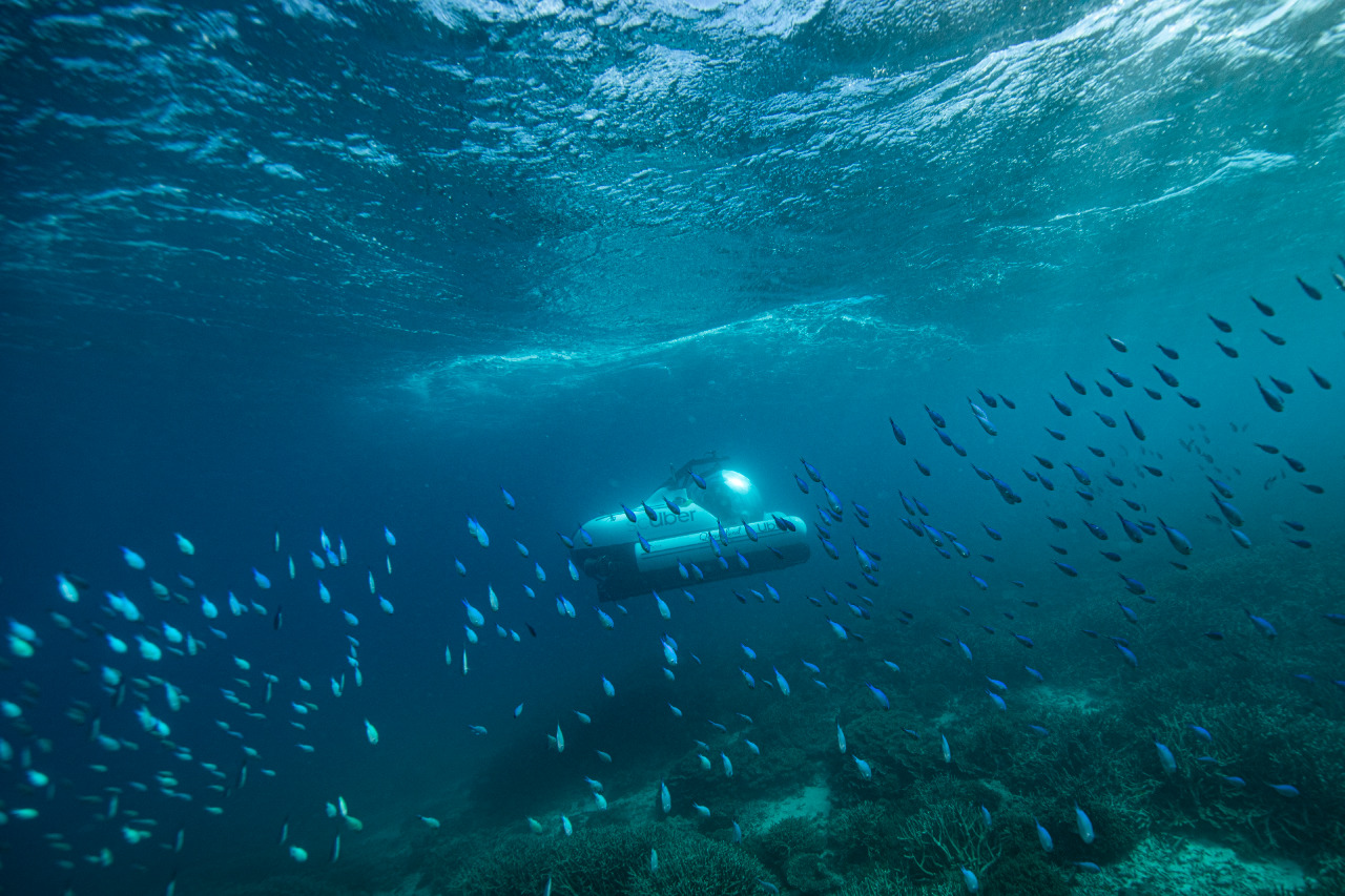 Tourism & Events Queensland partner with Uber to launch world’s first rideshare submarine ‘scUber’ via Publicis Worldwide and Herd MSL