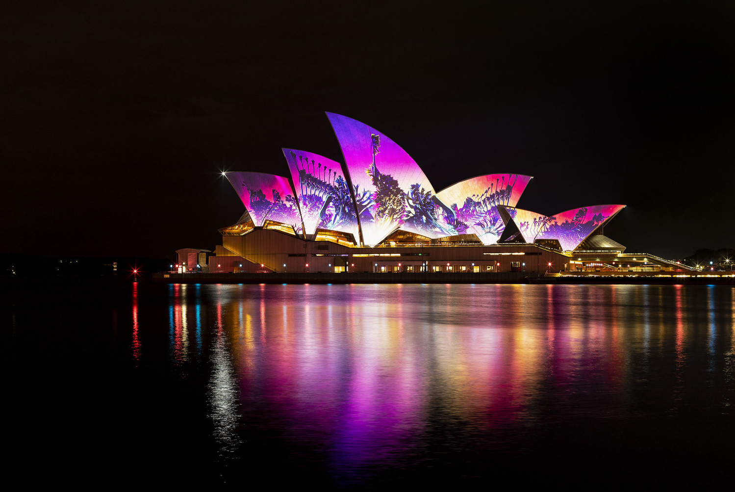 LUNAR’s Andrew Thomas Huang creates ‘Austral Flora Ballet’ projection for Lighting of the Sails