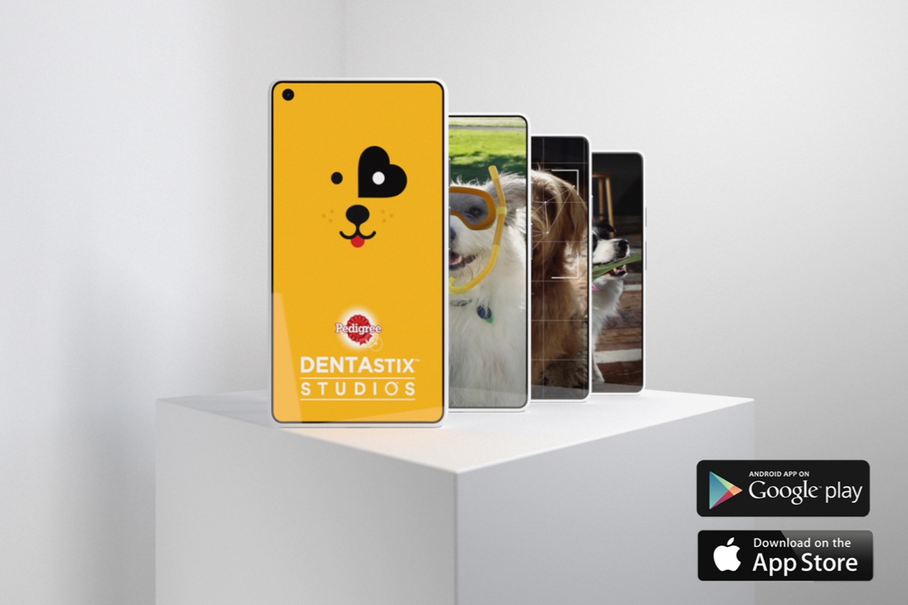 Pedigree launches DentaSTIX Studios to bring the good back to social media with dogs via Colenso