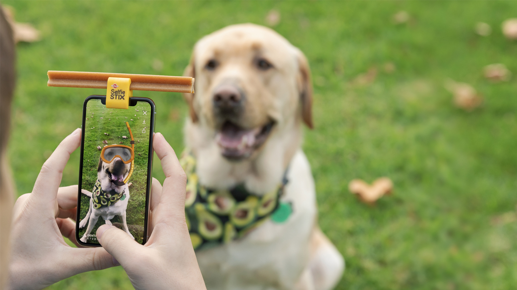 Pedigree launches DentaSTIX Studios to bring the good back to social media with dogs via Colenso
