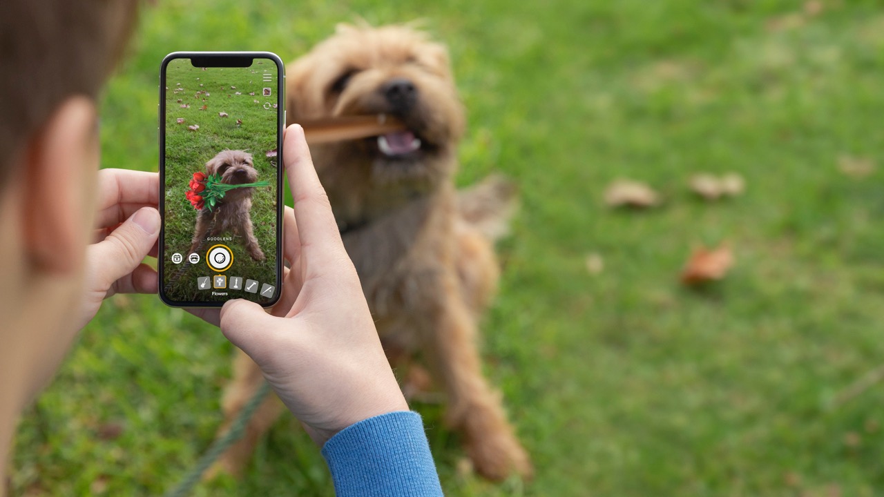 Pedigree launches DentaSTIX Studios to bring the good back to social media with dogs via Colenso