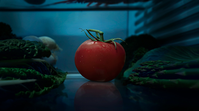 GIO Home & Motor Insurance gets down to the details In latest campaign via Leo Burnett