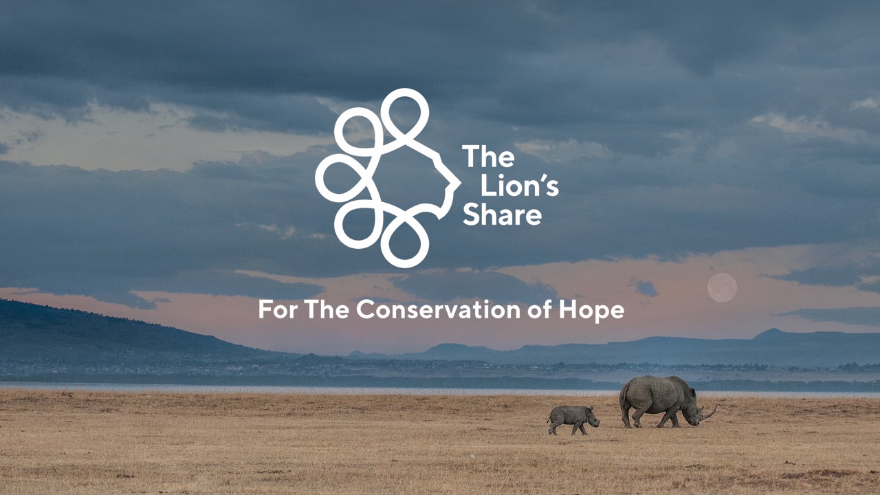 Cannes Lions launches 2019 Global Creativity Report; Clemenger BBDO Melbourne ranks #1 Pacific Agency of the Year; Special Group Sydney ranks #12 Independent Agency of the Year