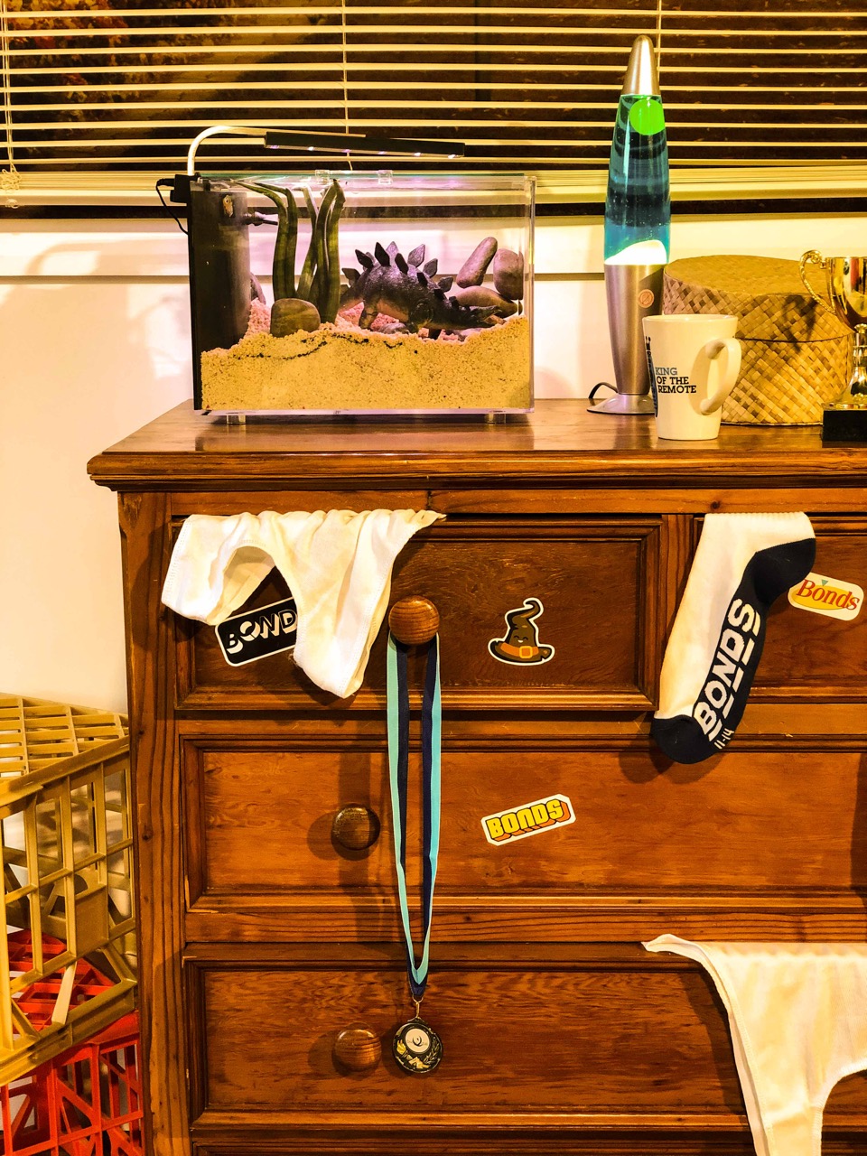 Bonds launches ‘Bonds Bedrooms’ consumer activation at Splendour in the Grass via Taboo