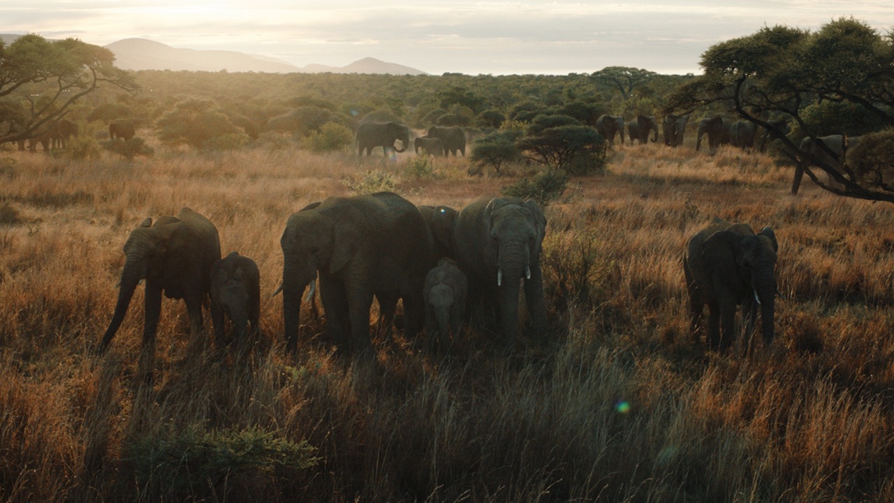 Director Bruce Hunt shoots new campaign for Standard Chartered Bank via TBWA Singapore