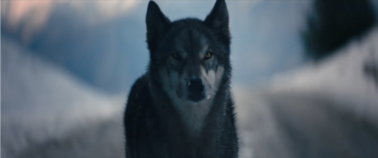 Audi Australia launches new ‘Scary Beautiful’ campaign for the Audi S model via WolfKing